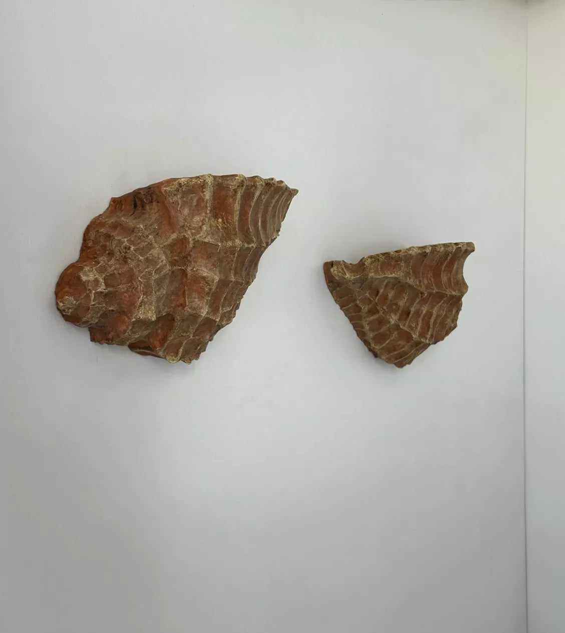 1970’s French Plaster Shell Wall Light - Two Available