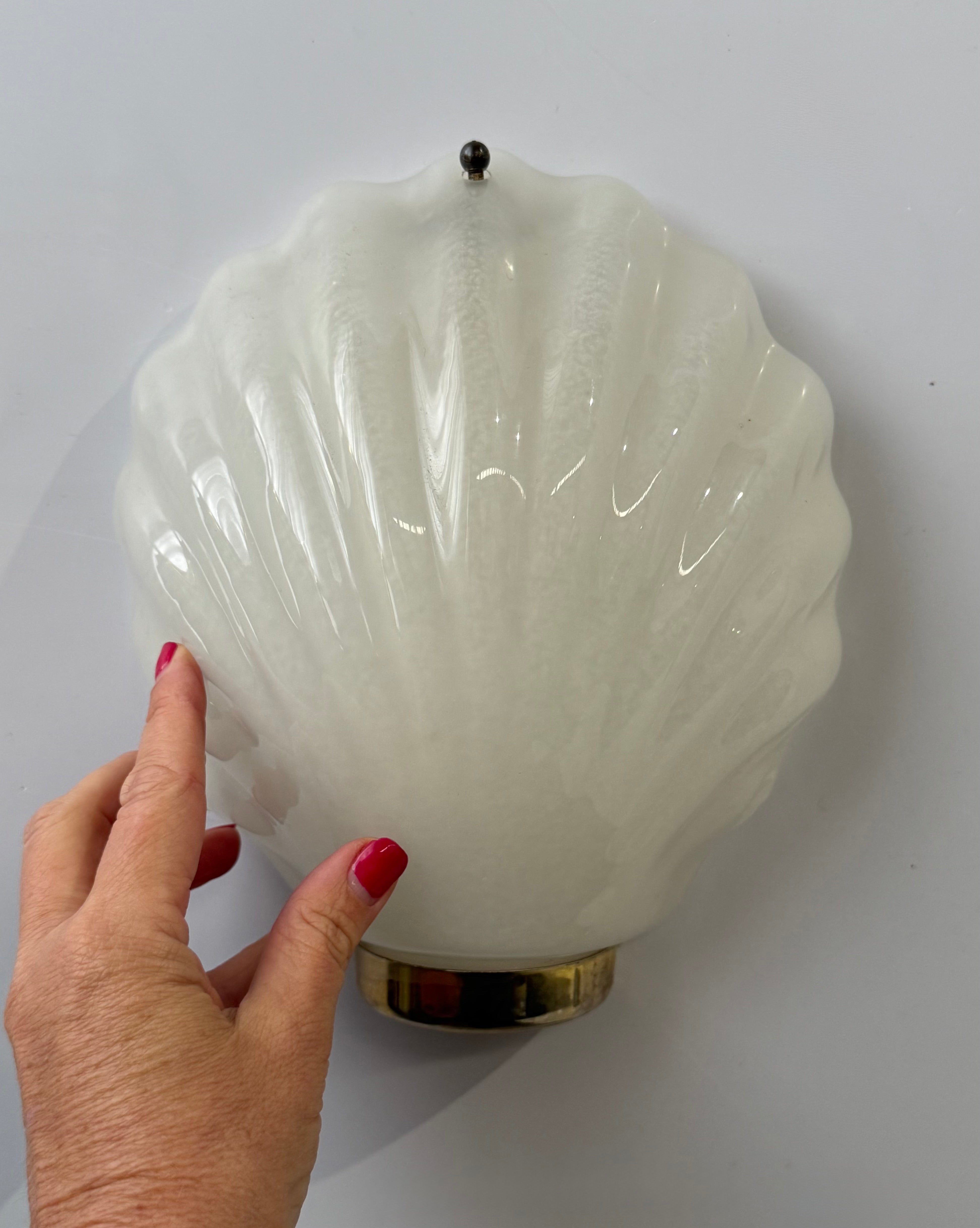 Pair of Murano Glass Shell Wall Lights