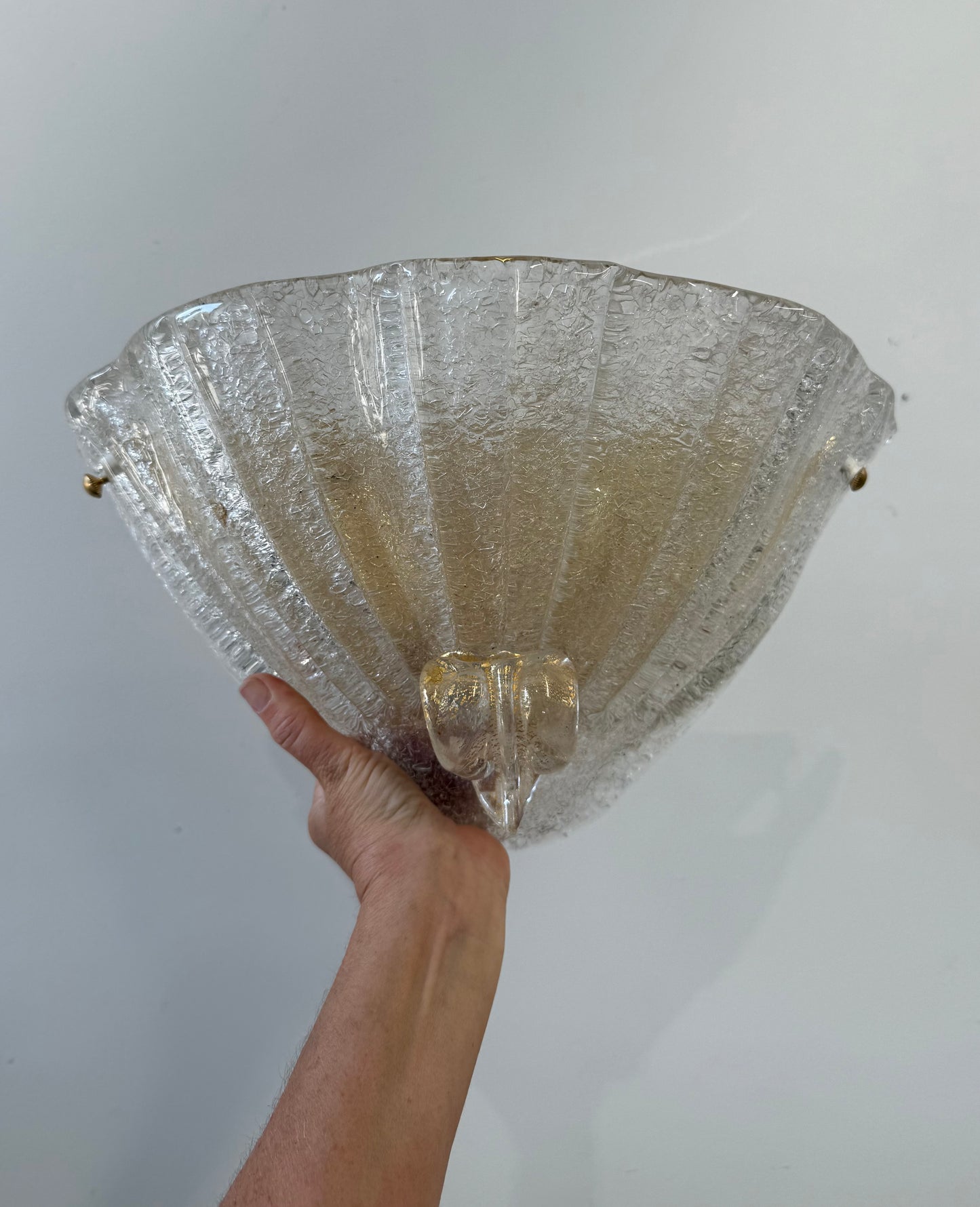 Pair of Murano Glass Shell Wall Lights