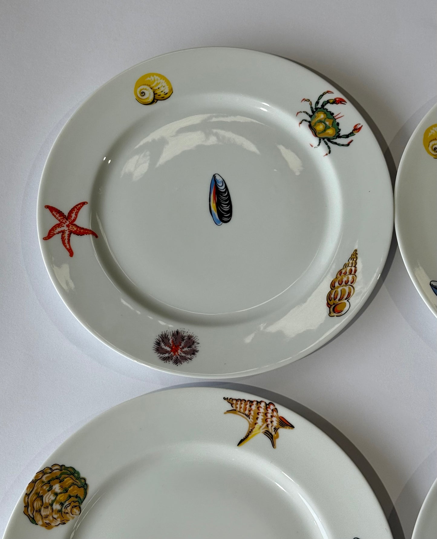 Set of 4 Vintage French Porcelain Plates by Limoges