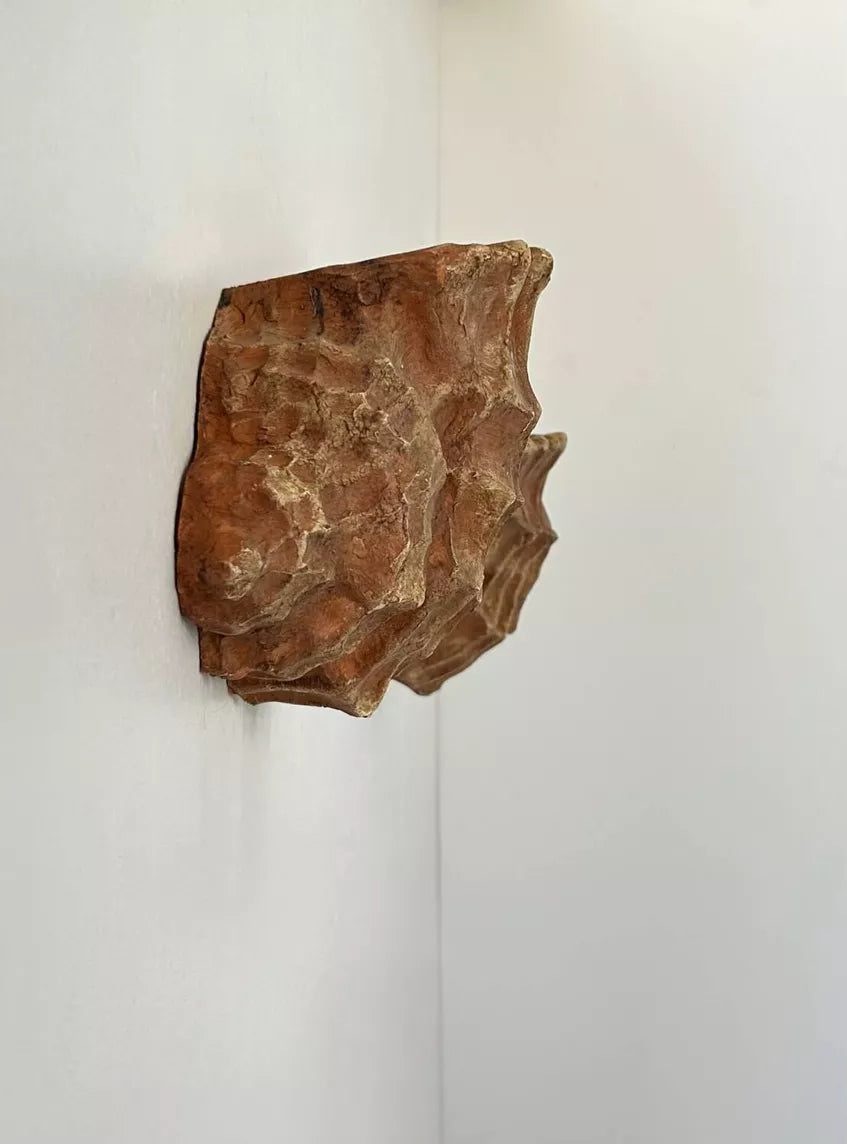 1970’s French Plaster Shell Wall Light - Two Available