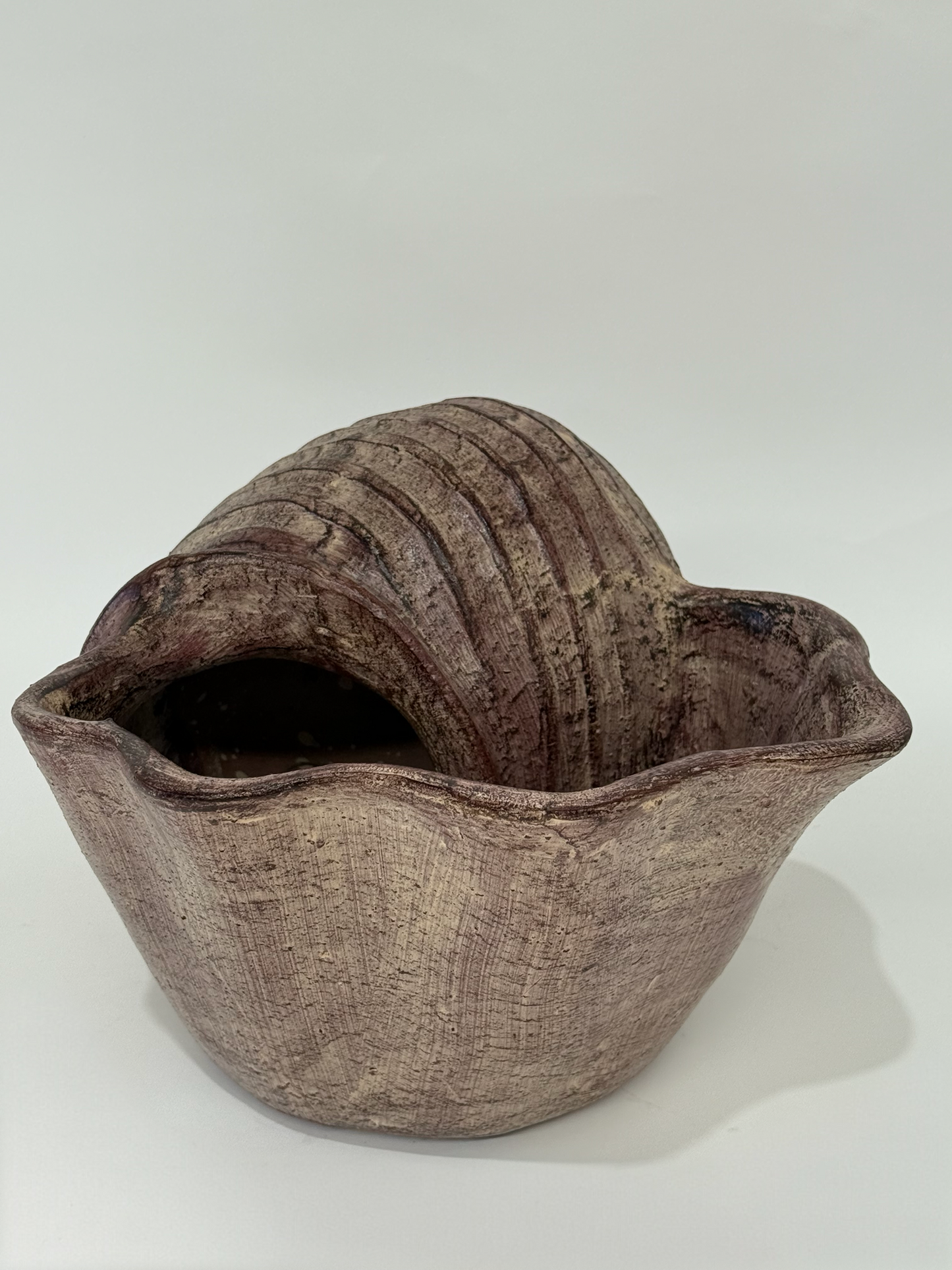 Large French Ceramic Shell Planter