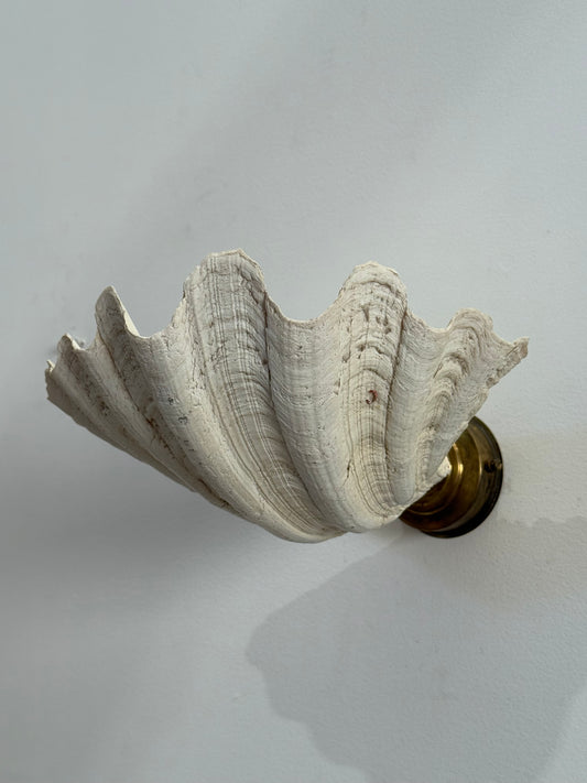Pair of Vintage Shell Wall Lights