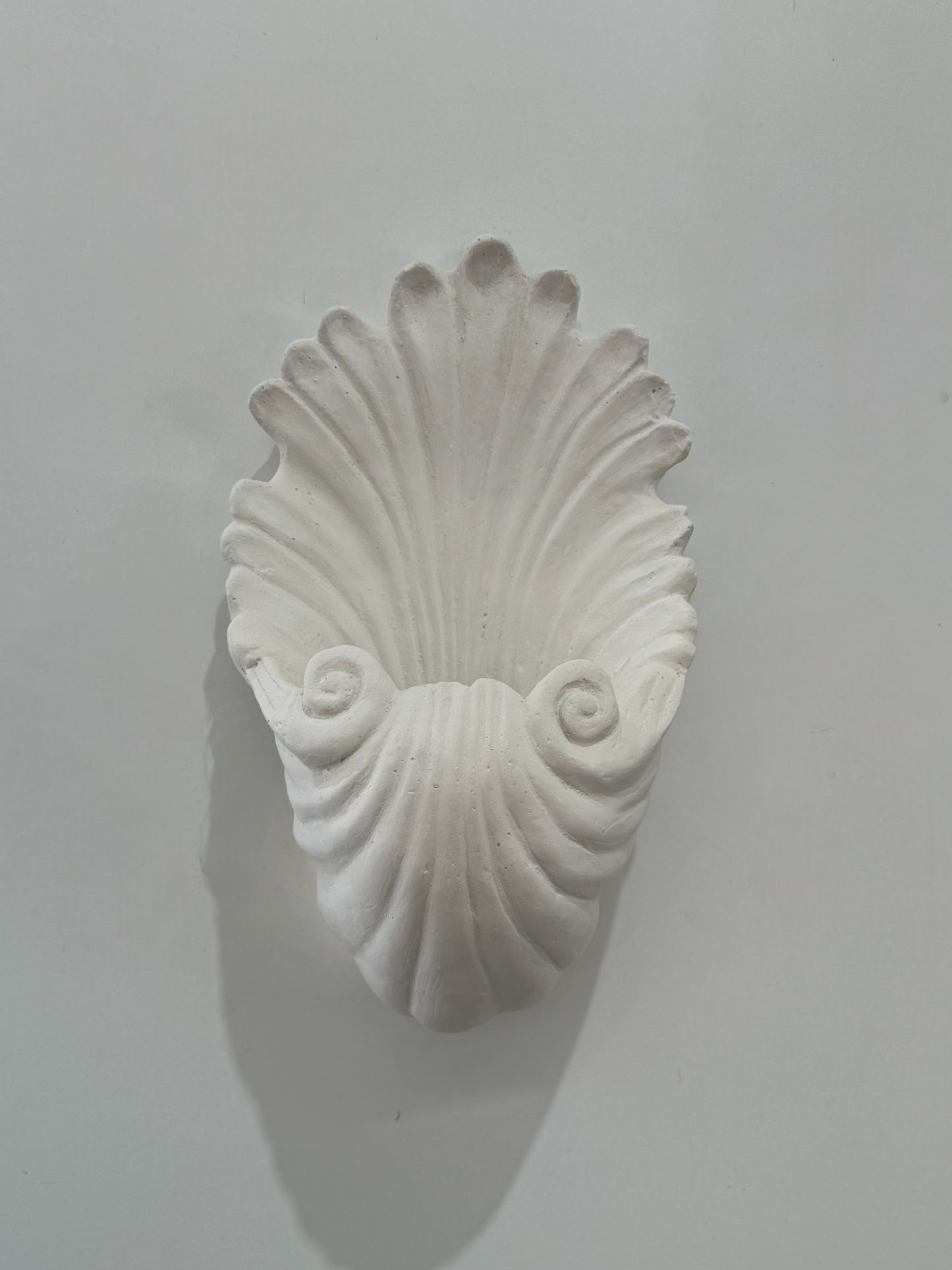 PRE-ORDER: Plaster Shell Wall Light