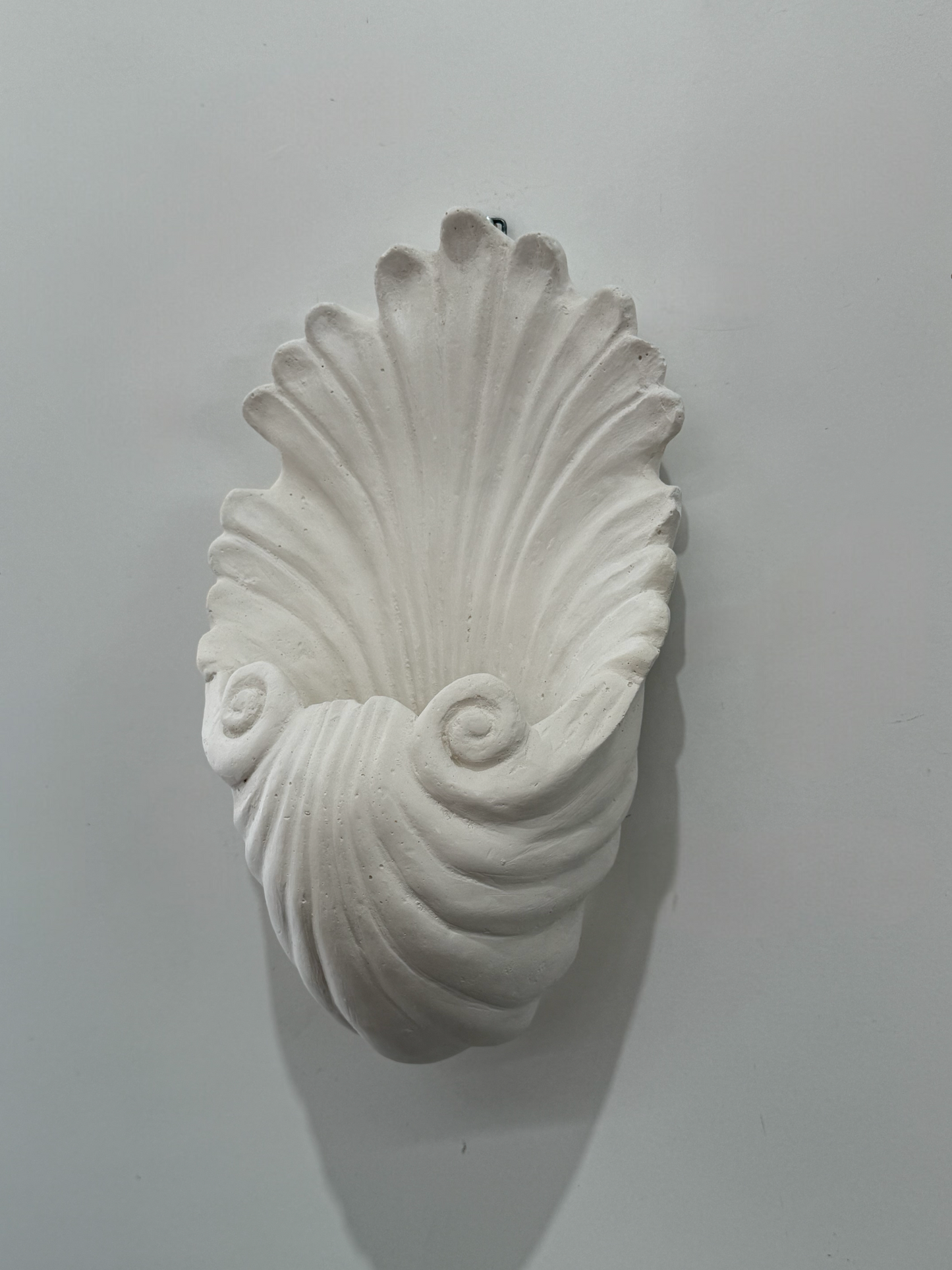 PRE-ORDER: Plaster Shell Wall Light