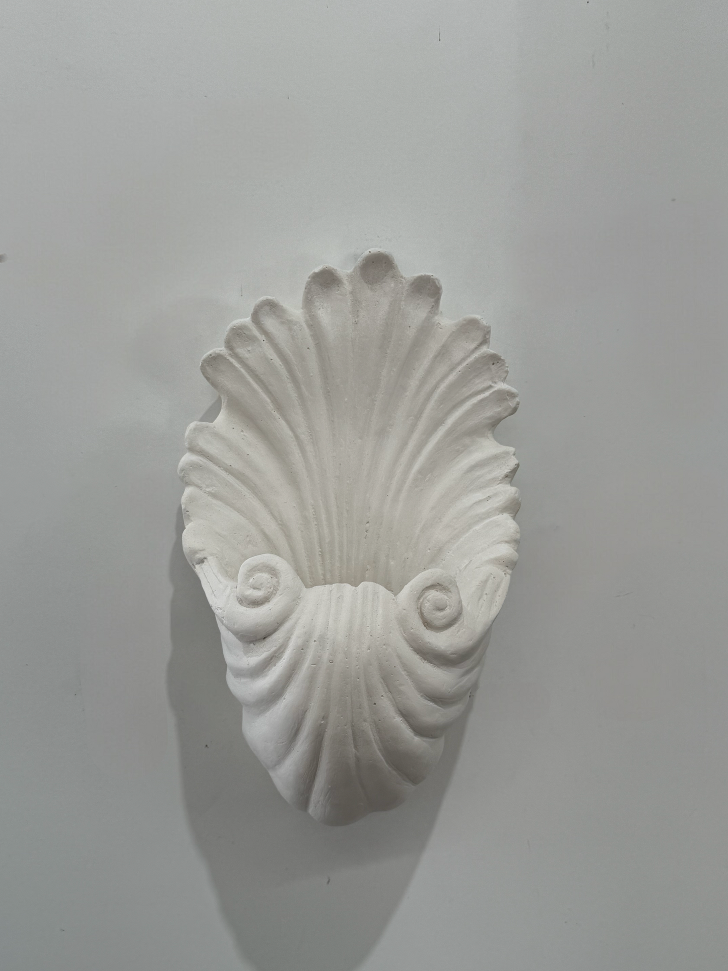 PRE-ORDER: Plaster Shell Wall Light