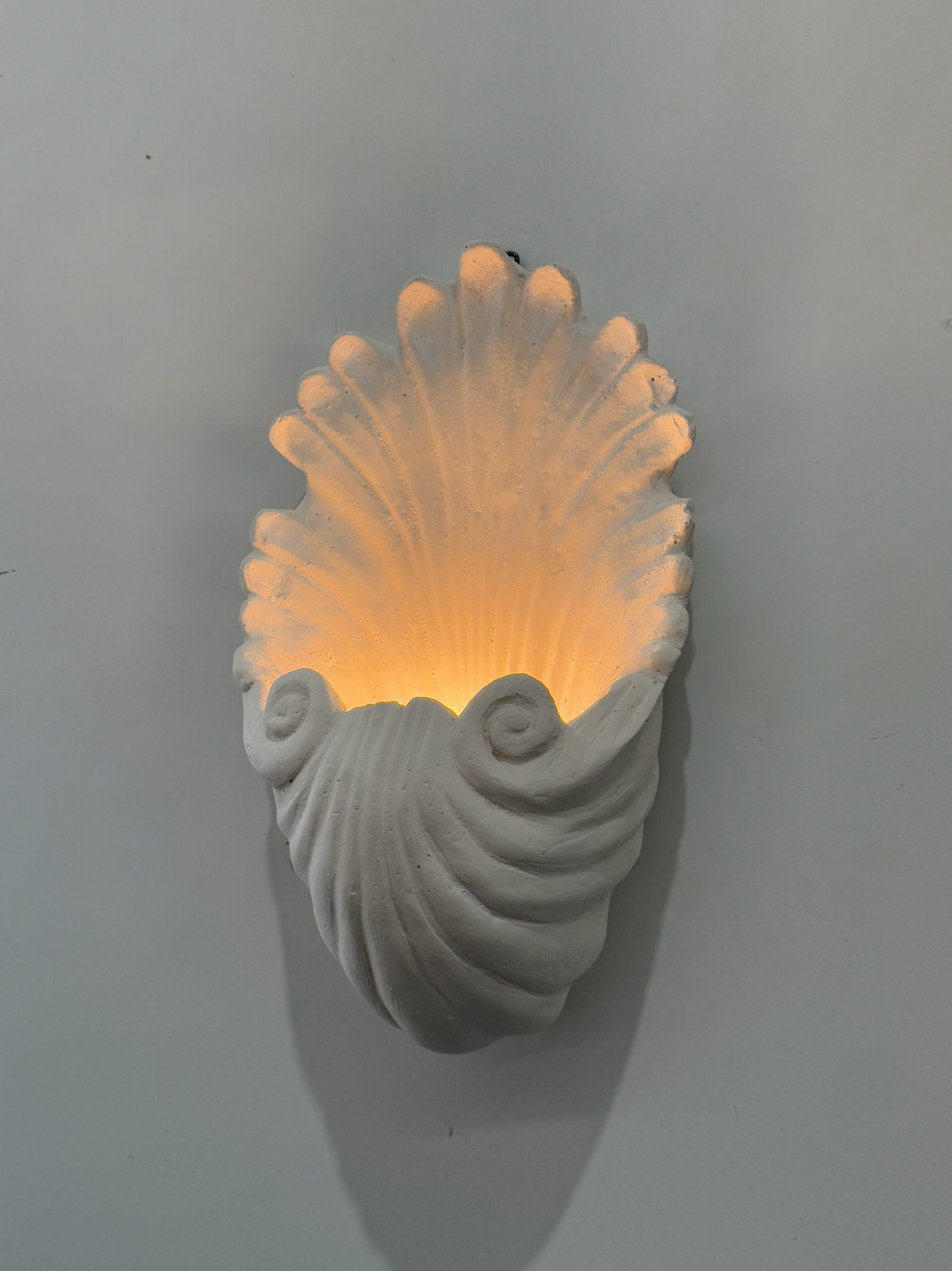 PRE-ORDER: Plaster Shell Wall Light