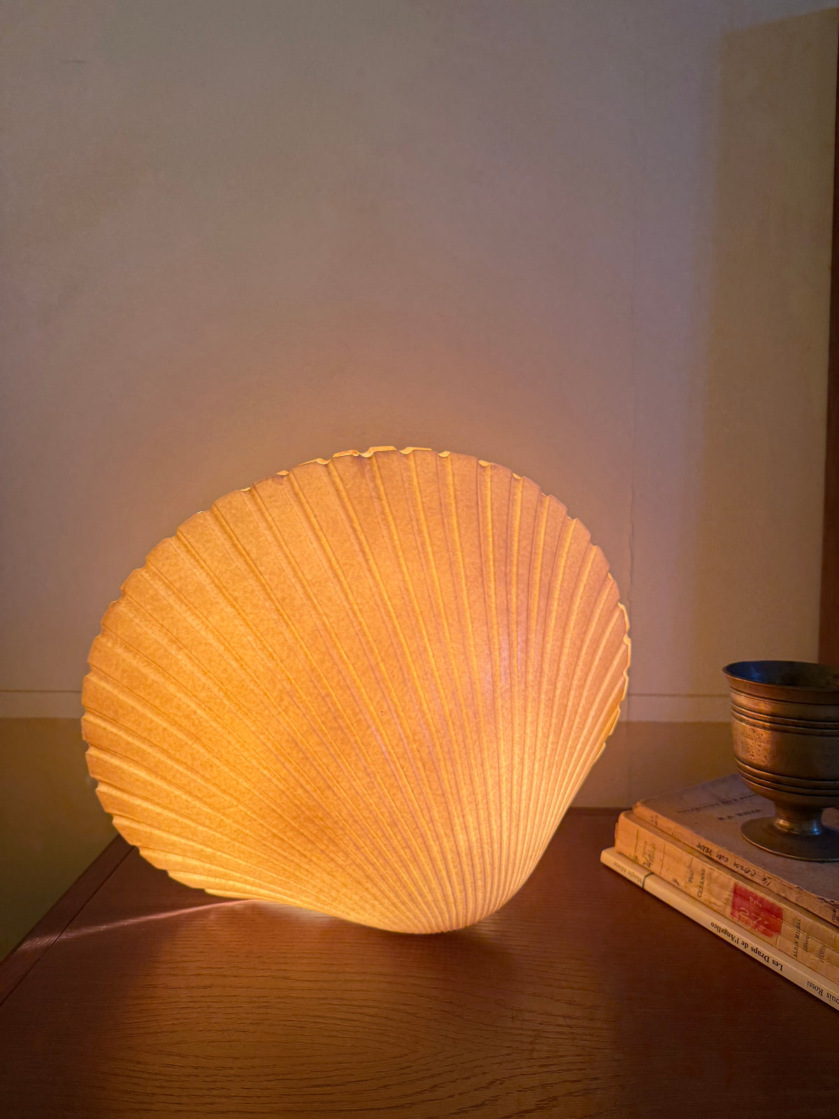 1970’s French Shell Lamp by Andre Casenave