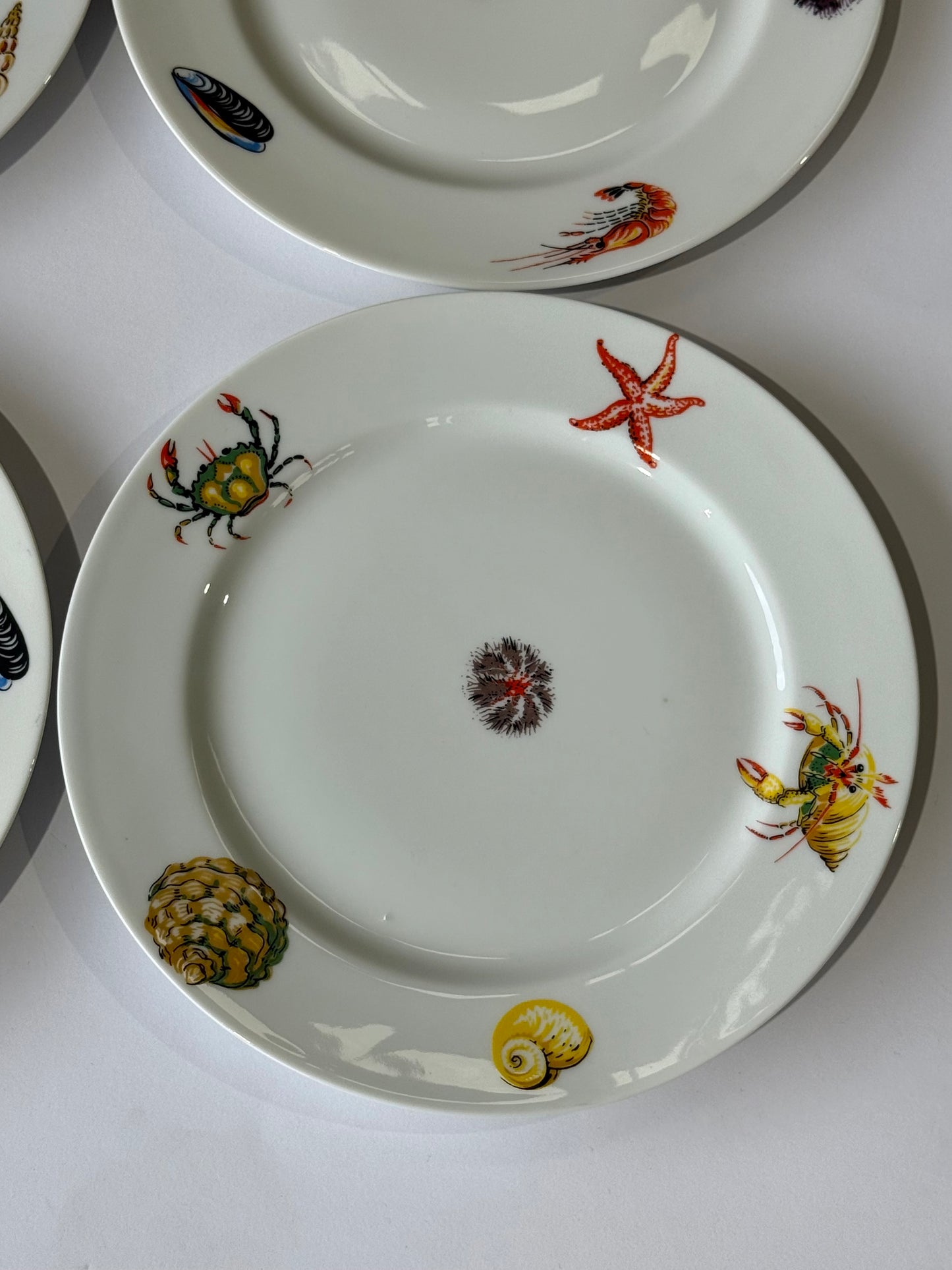 Set of 4 Vintage French Porcelain Plates by Limoges
