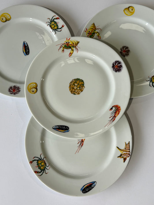 Set of 4 Vintage French Porcelain Plates by Limoges