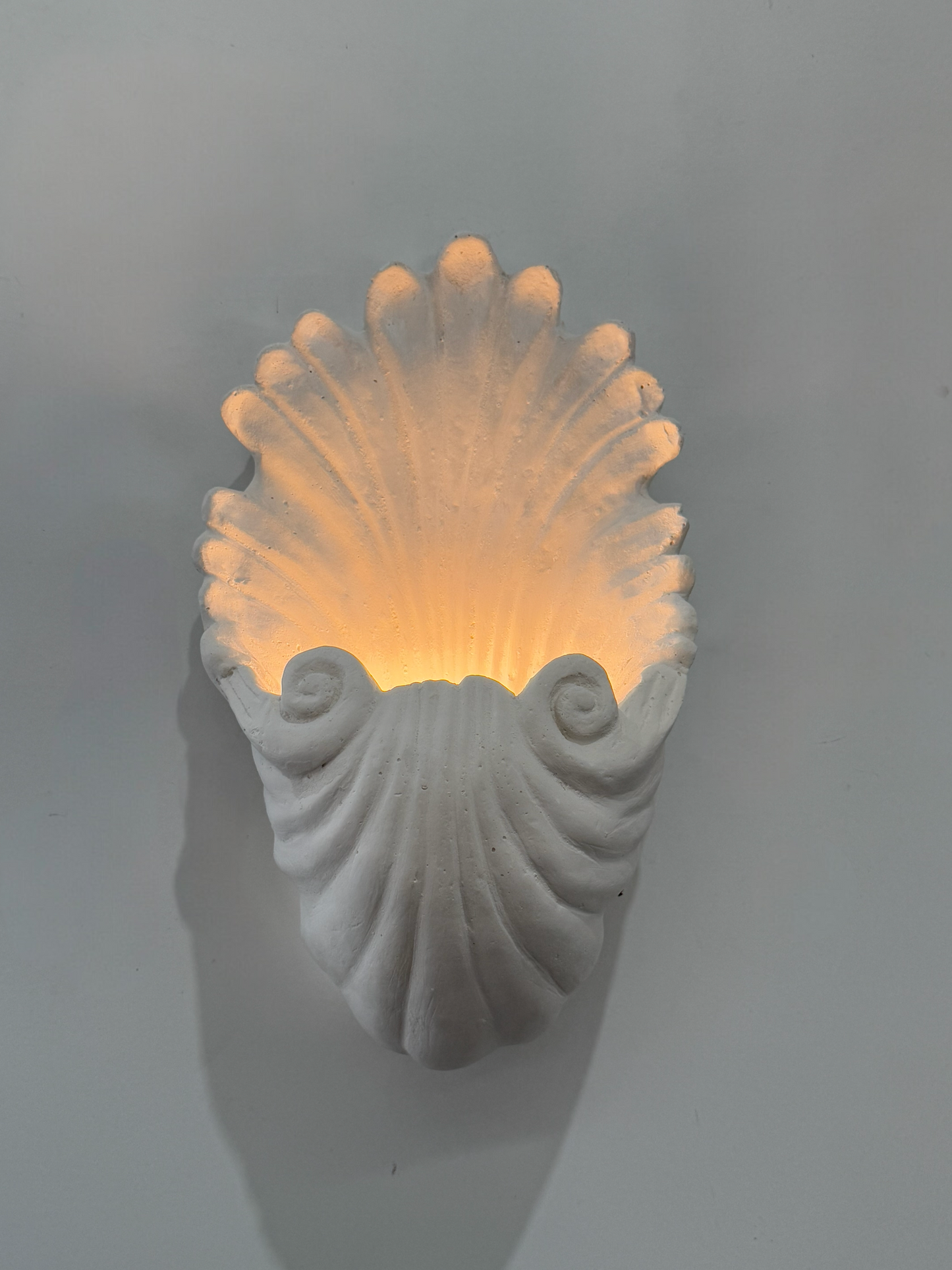 PRE-ORDER: Plaster Shell Wall Light