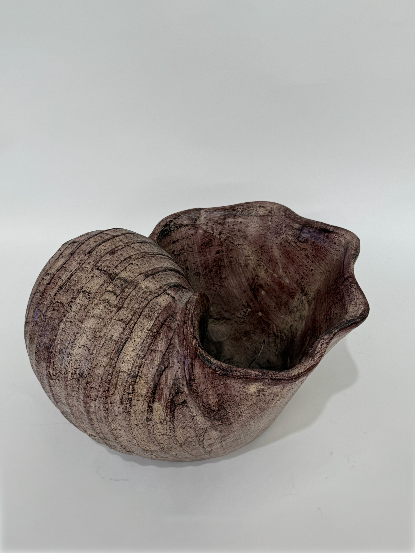 Large French Ceramic Shell Planter