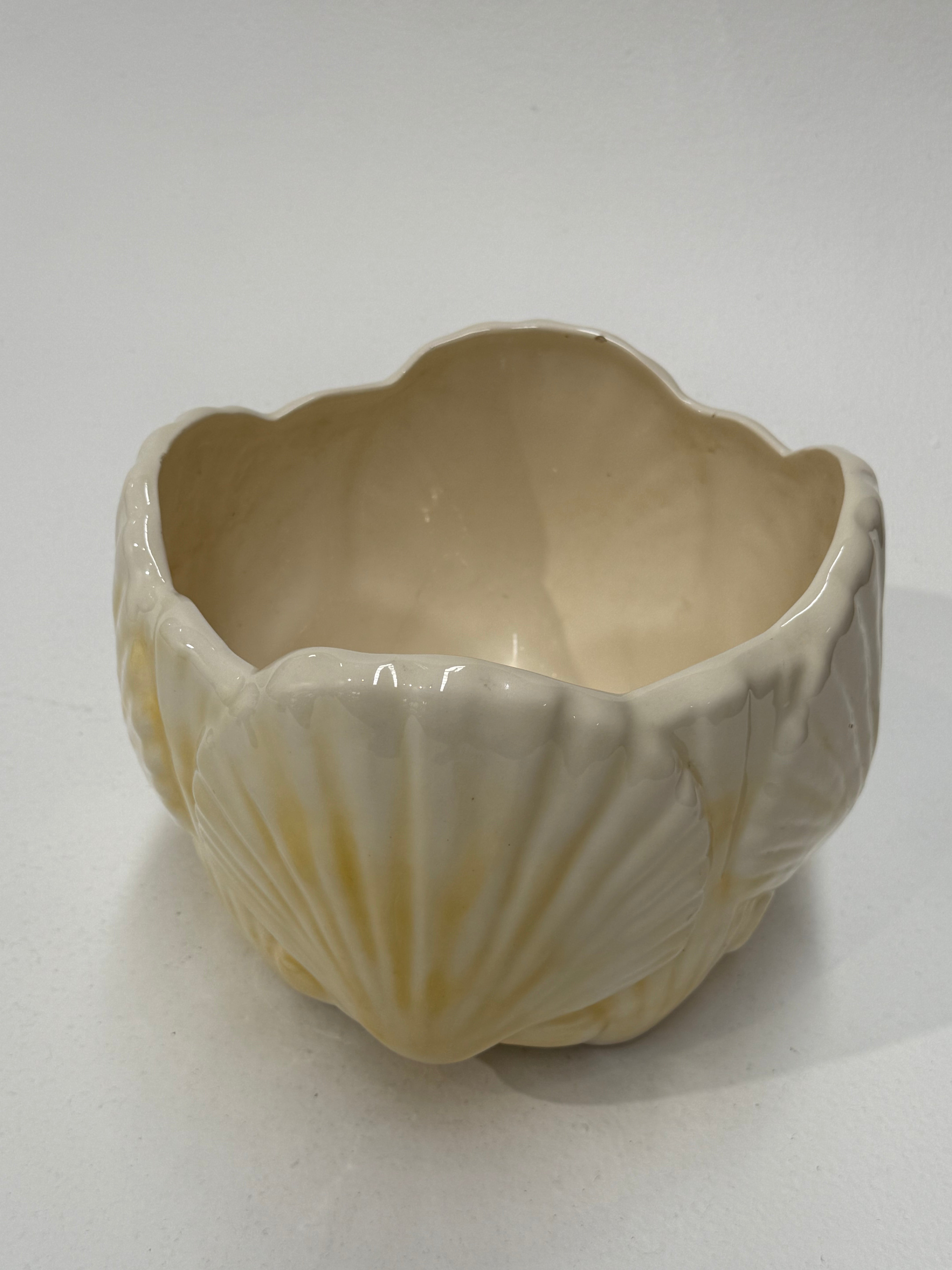 Glazed Ceramic Shell Planter