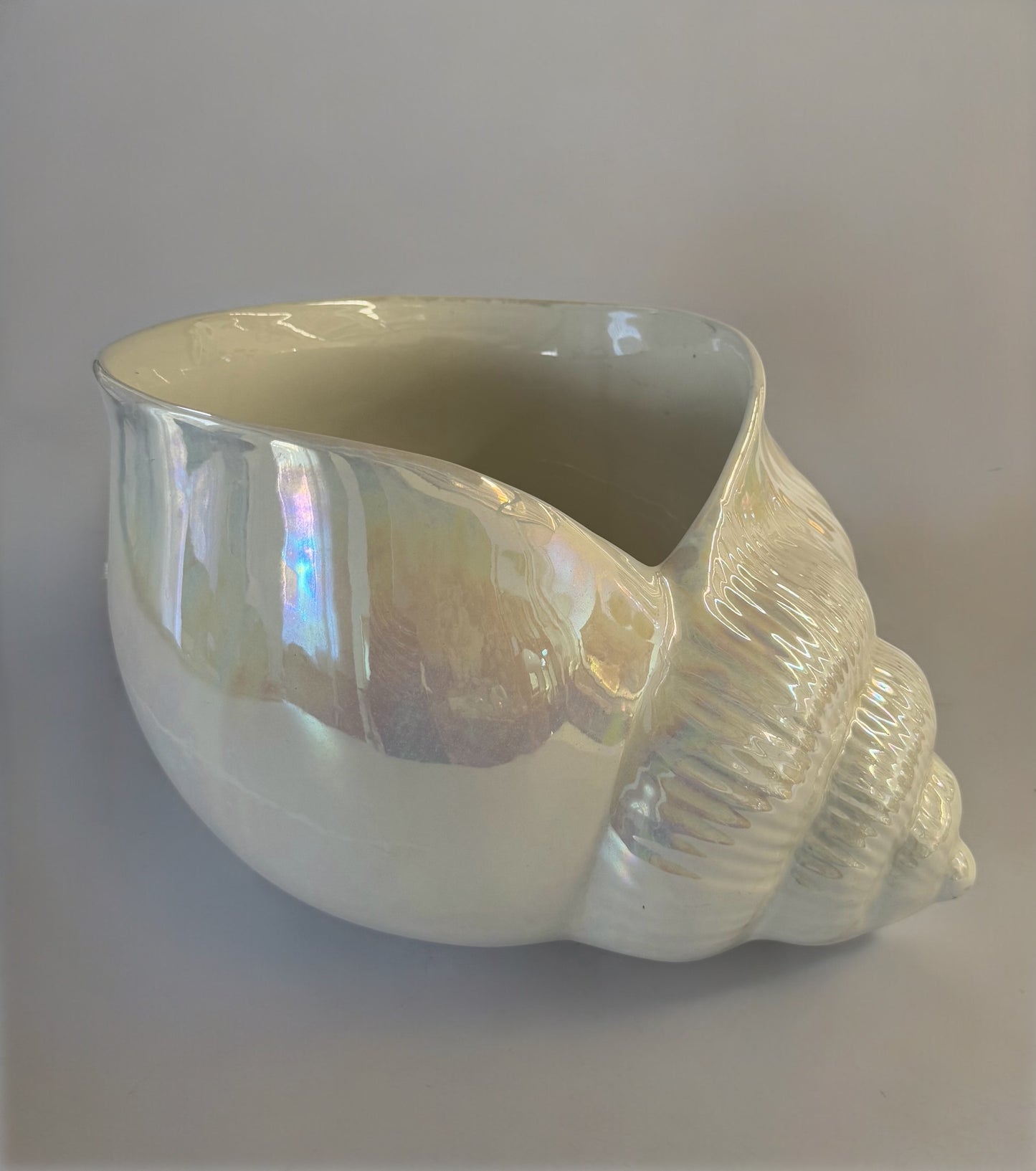 Large Italian 'Este Ceramiche' Ceramic Shell Vase