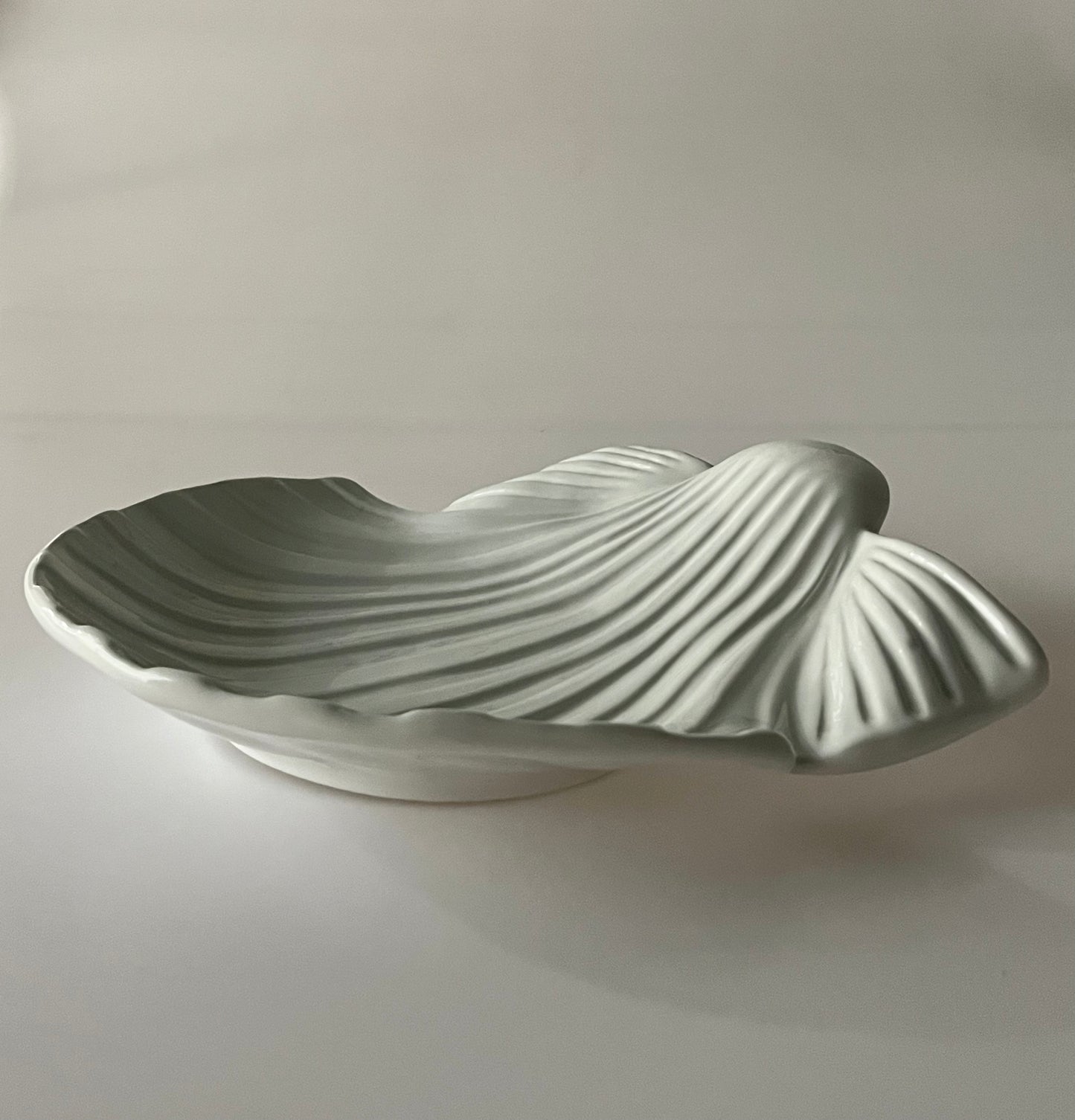 Tommaso Barbi Ceramic Shell Vide Poche